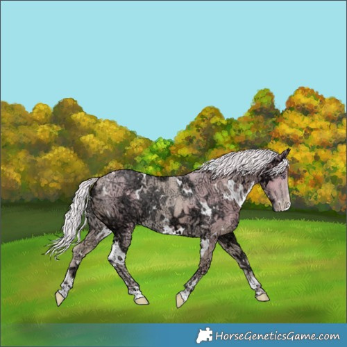 Horse Color:Watercolor White Spotted Chocolate Silver Smoky Creme Chinchilla Ice