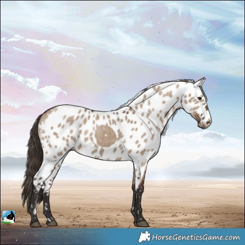 Horse Color:Liver Red Dun Skewed LP Spotted