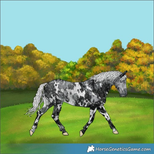 Horse Color:Watercolor White Spotted Silver Smoky Creme Chinchilla Ice 