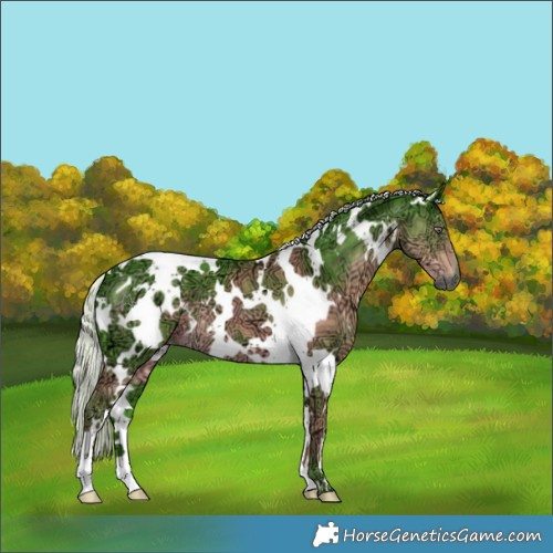 Horse Color:Watercolor White Spotted Chocolate Silver Smoky Black Chinchilla Ice 