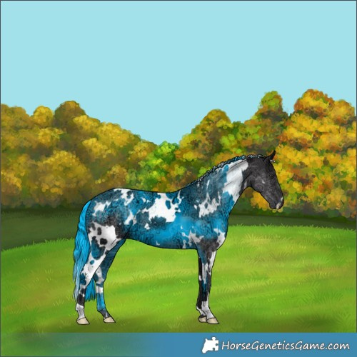 Horse Color:White Spotted Smoky Black Chinchilla Ice