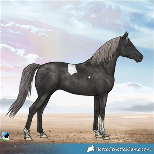 Horse Color:Platinum Liver Chestnut Tobiano 