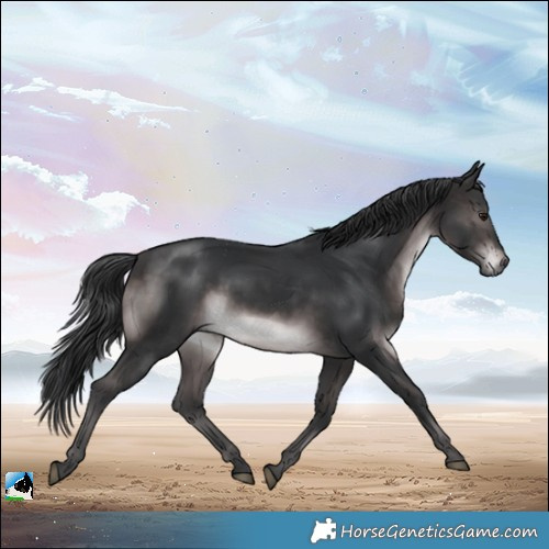 Horse Color:Platinum Brown Mushroom Rabicano