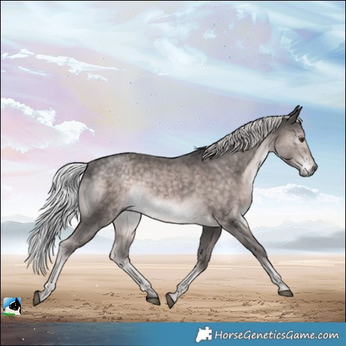 Horse Color:Platinum Chocolate Palomino Mushroom Rabicano 