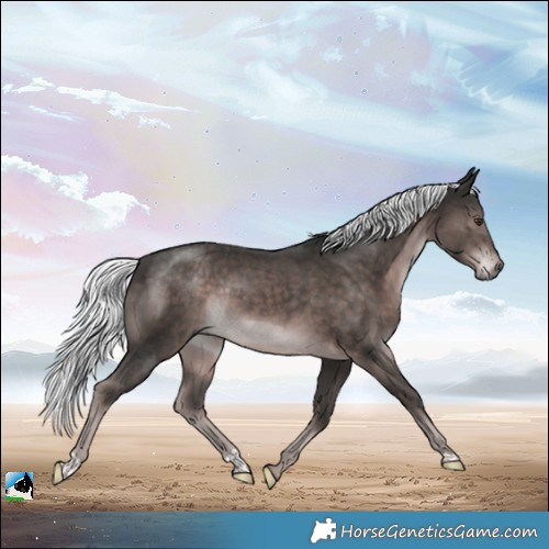 Horse Color:Platinum Liver Chestnut Mushroom Rabicano 