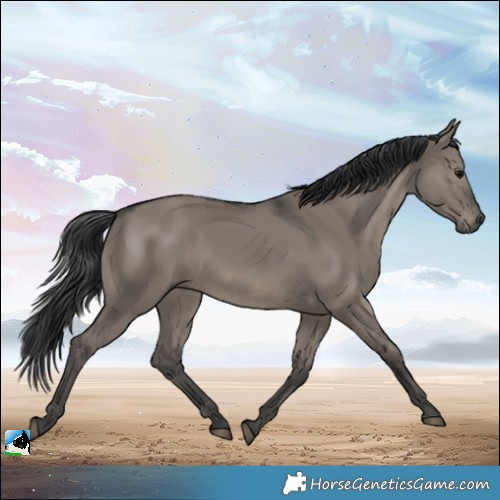 Horse Color:Platinum Grullo Rabicano 