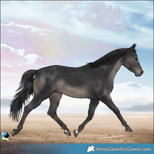 Horse Color:Platinum Black Mushroom Rabicano 