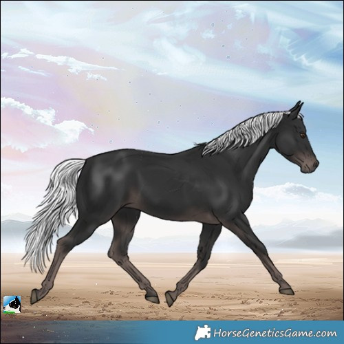 Horse Color:Platinum Liver Chestnut Mushroom Rabicano 