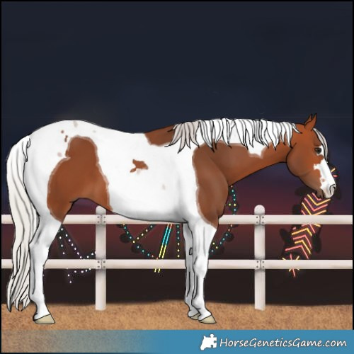 Horse Color:Silver Bay Tobiano 