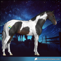 Horse Color:Bay Tobiano 