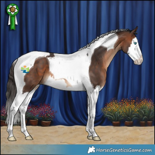 Horse Color:Brown Splash Tobiano 