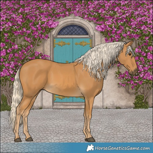 Horse Color:Palomino