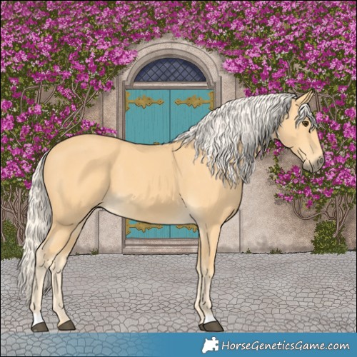 Horse Color:Palomino 