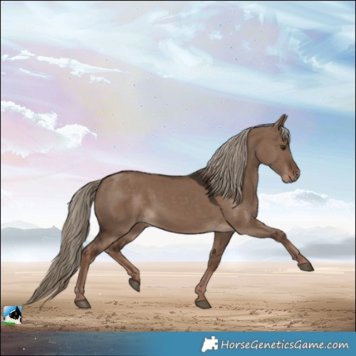 Horse Color:Liver Red Dun 