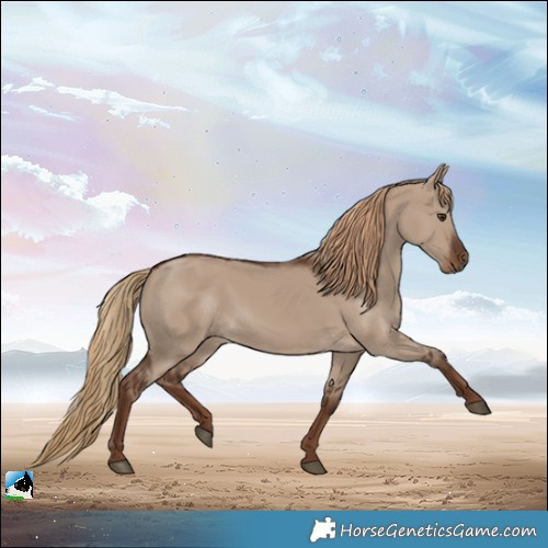 Horse Color:Liver Red Dun 