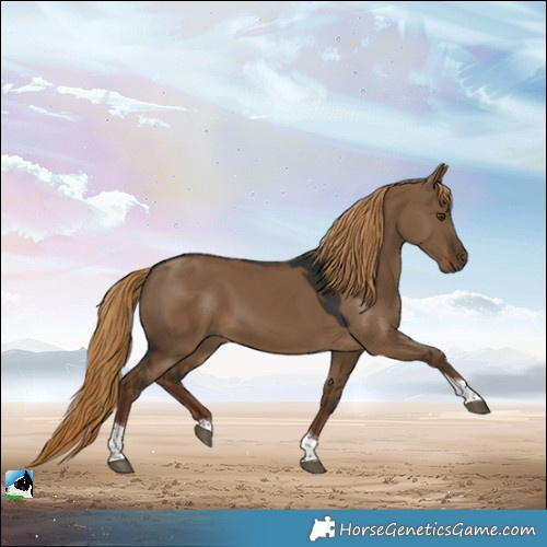 Horse Color:Gray Liver Red Dun Tobiano 