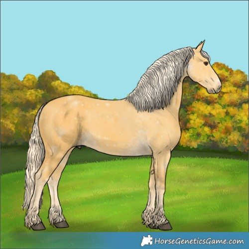 Horse Color:Palomino