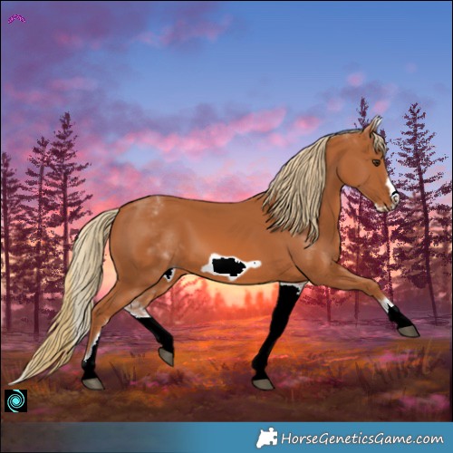 Horse Color:White Spotted Chestnut Frame