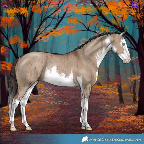 Horse Color:White Spotted Liver Red Dun Splash Rabicano Brindle
