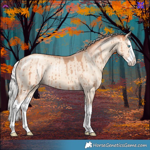 Horse Color:Silver Amber Champagne Dun Splash Brindle 