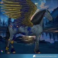 Horse Color:ERROR: UNKNOWN ANOMALY