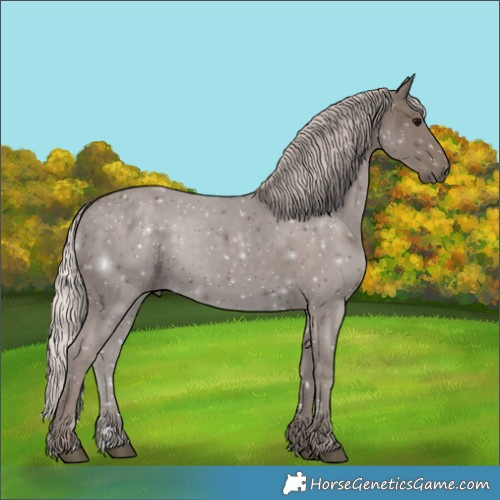Horse Color:Silver Black 