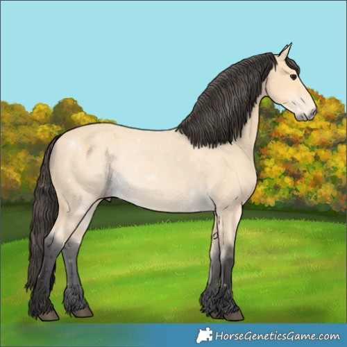 Horse Color:Buckskin