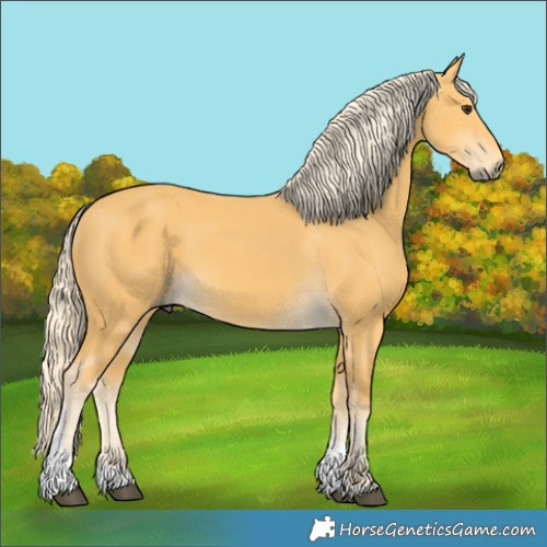 Horse Color:Palomino Tobiano 