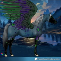 Horse Color:ERROR: UNKNOWN ANOMALY