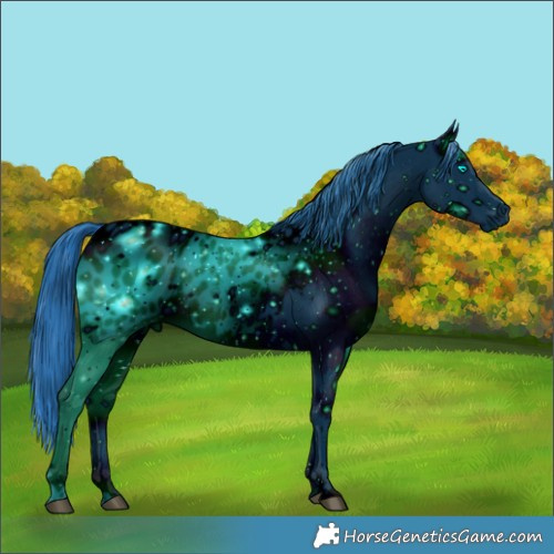 Horse Color:ERROR: UNKNOWN ANOMALY