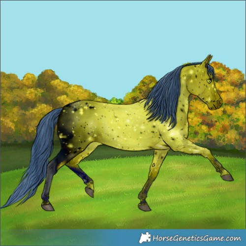 Horse Color:ERROR: UNKNOWN ANOMALY