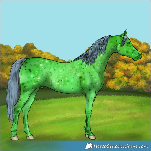 Horse Color:ERROR: UNKNOWN ANOMALY