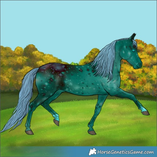 Horse Color:ERROR: UNKNOWN ANOMALY