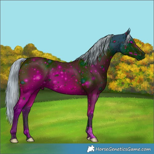 Horse Color:ERROR: UNKNOWN ANOMALY