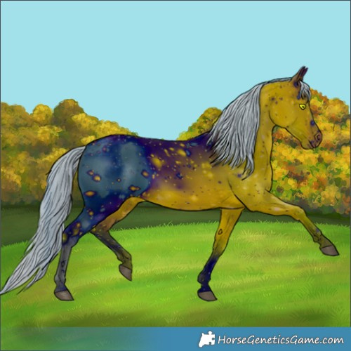 Horse Color:ERROR: UNKNOWN ANOMALY