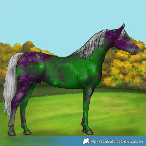 Horse Color:ERROR: UNKNOWN ANOMALY
