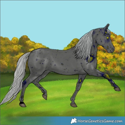 Horse Color:ERROR: UNKNOWN ANOMALY