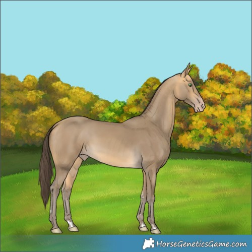 Horse Color:Sable Cream Champagne 