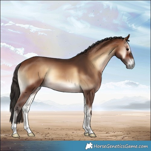 Horse Color:Brown Onyx 
