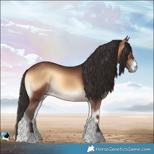 Horse Color:Brown Onyx