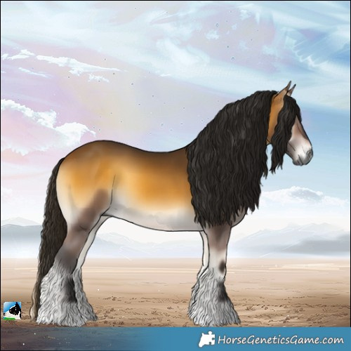 Horse Color:Gray Buckskin Onyx 