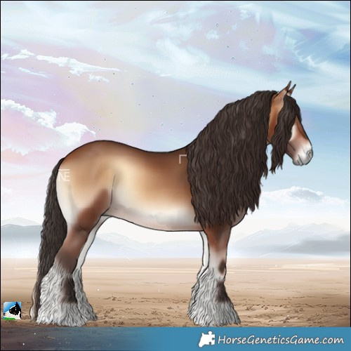Horse Color:Bay Onyx 