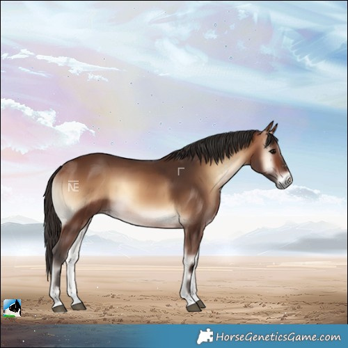 Horse Color:Brown Onyx 