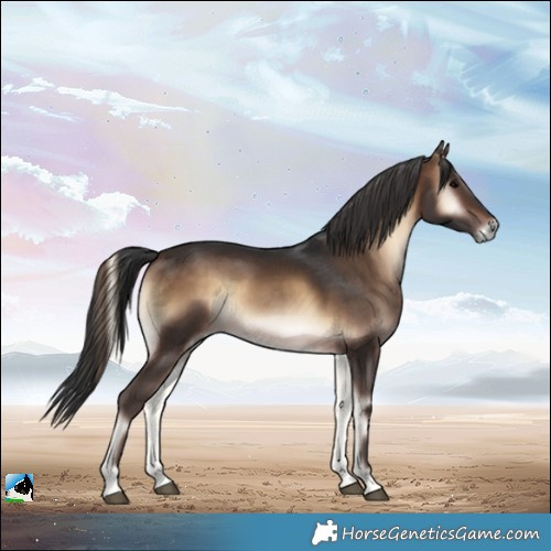 Horse Color:Brown Onyx Rabicano