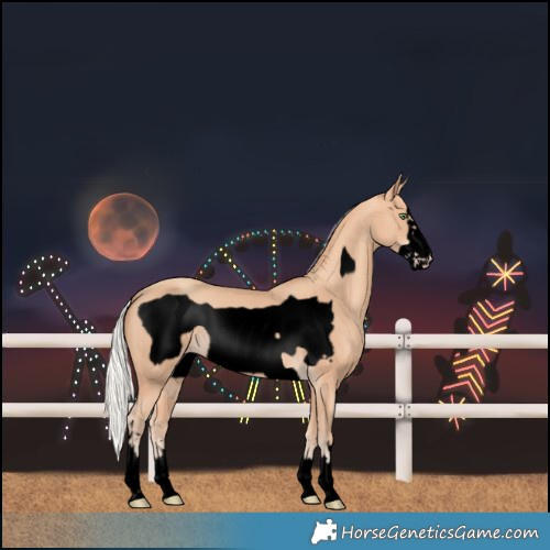 Horse Color:Void Silver Amber Champagne Frame 