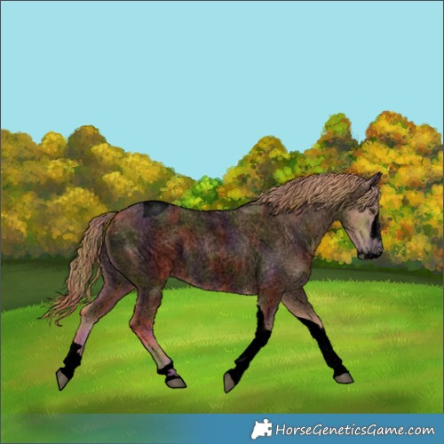 Horse Color:Void Nacre Red Roan Splash Tobiano 