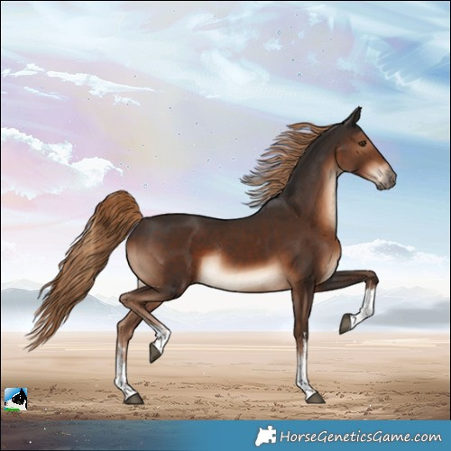 Horse Color:White Spotted Liver Chestnut Rabicano