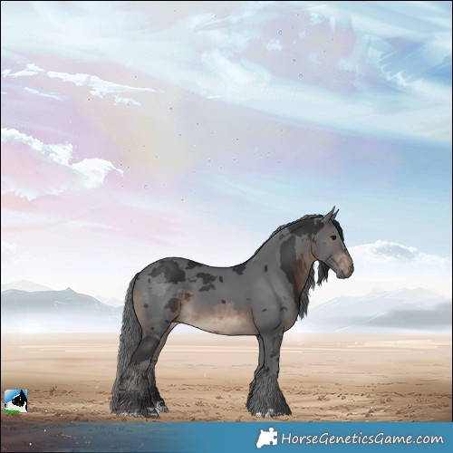 Horse Color:Brown Merle 