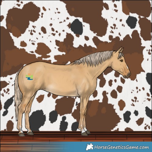 Horse Color:Palomino Dun 