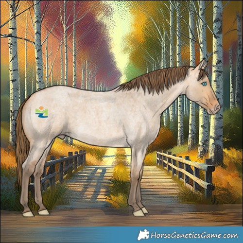 Horse Color:Gray Perlino Roan Dun